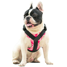 Treat Me,Professional Dog Harness Vest,New Pet Products Net Cloth,Comfortable Pet Harness,Medium And Large Dogs Chest Straps