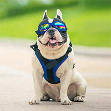 Treat Me,Professional Dog Harness Vest,New Pet Products Net Cloth,Comfortable Pet Harness,Medium And Large Dogs Chest Straps