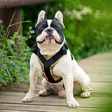 Treat Me,Professional Dog Harness Vest,New Pet Products Net Cloth,Comfortable Pet Harness,Medium And Large Dogs Chest Straps