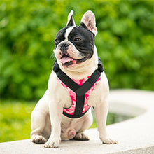 Treat Me,Professional Dog Harness Vest,New Pet Products Net Cloth,Comfortable Pet Harness,Medium And Large Dogs Chest Straps